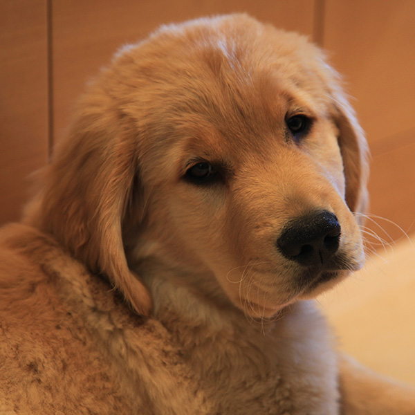 Calvin headshot